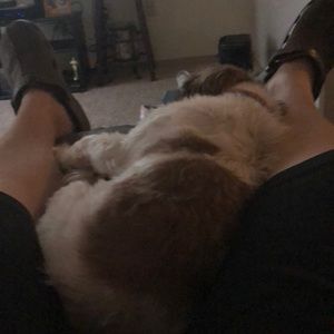 Meet your Posher, Johnny